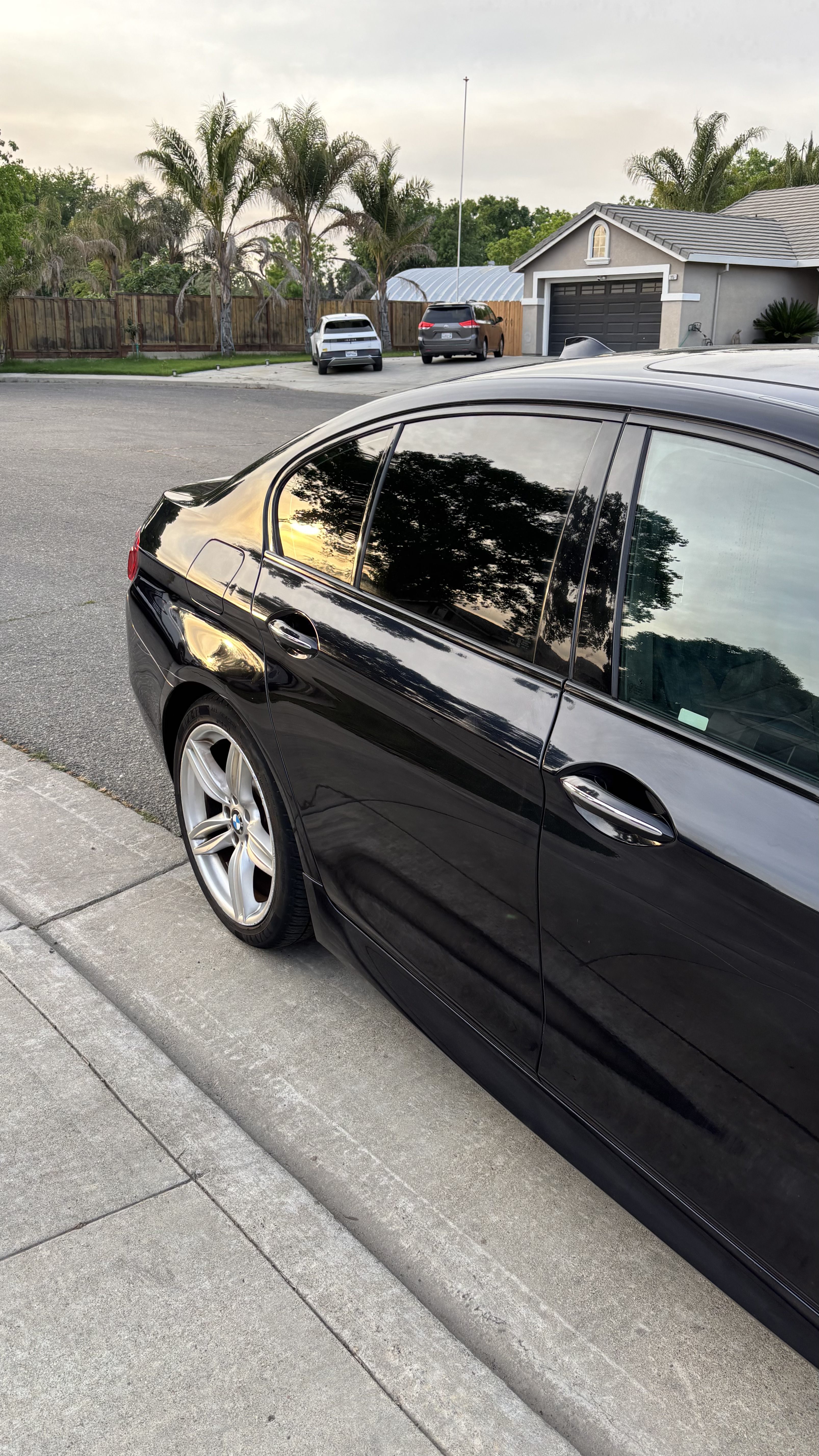 Black BMW with tree reflection - Singh Detailing